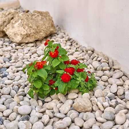 Apartman Vasileios Moments