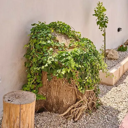 Apartman Vasileios Moments Rhodes City