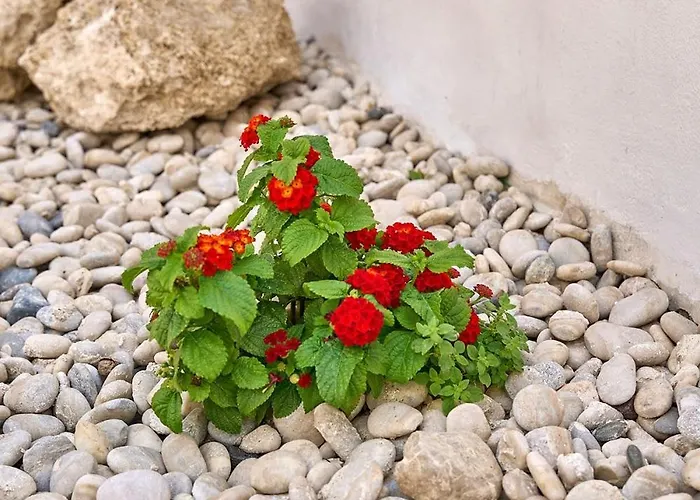 Apartamento Vasileios Moments